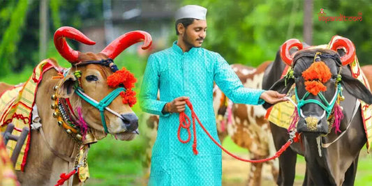 🐂 The Story Behind Pola Festival: How Bulls Became a Symbol of Strength