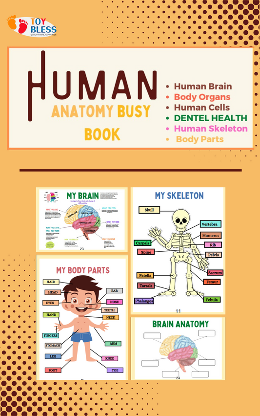 Human Anatomy Busy Book | 41 pages Printable Kids Worksheets 🖍️📚