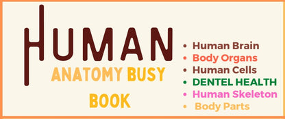 Human Anatomy Busy Book | 41 pages Printable Kids Worksheets 🖍️📚