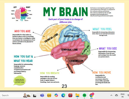 Human Anatomy Busy Book | 41 pages Printable Kids Worksheets 🖍️📚