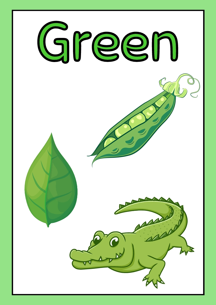 Colors Flash Cards for Early Learning