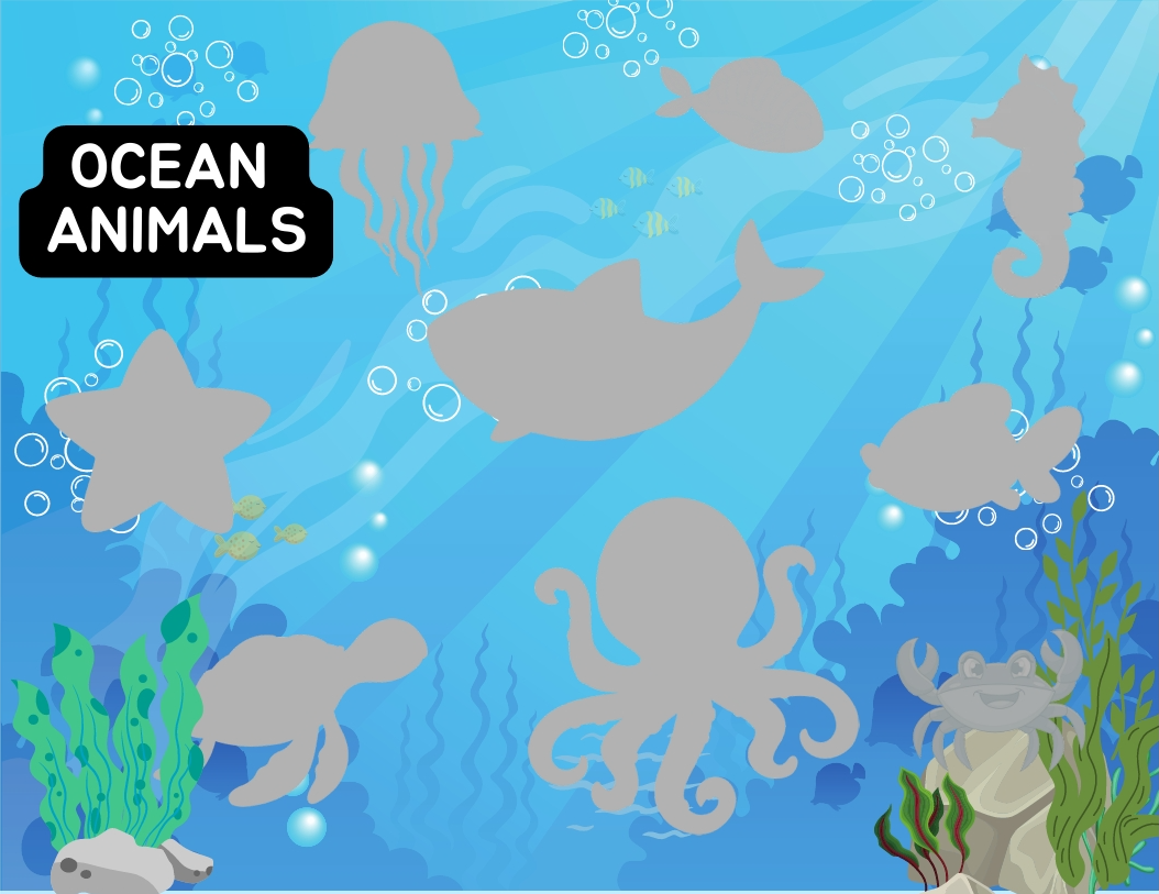 Educational Kids Binder – Interactive Learning! 📚✨