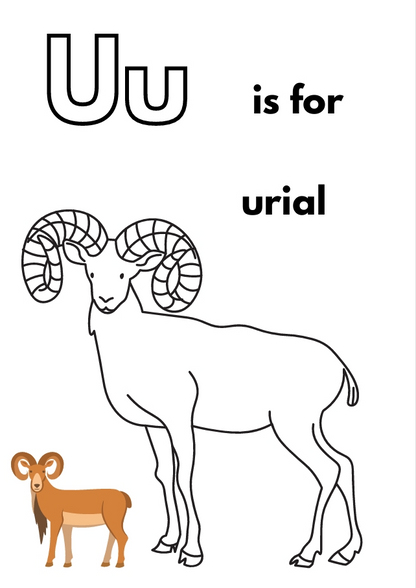 Printable Animal Alphabet Coloring Book
