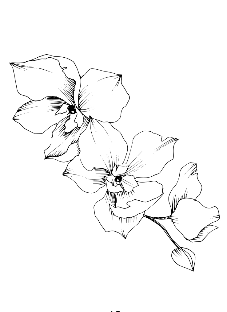 Flora & Fauna Coloring