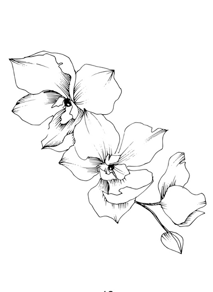 Flora & Fauna Coloring