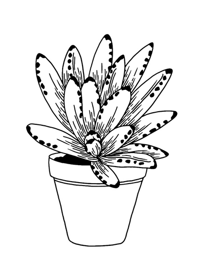 Flora & Fauna Coloring