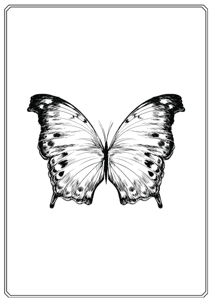 Butterfly Coloring Book