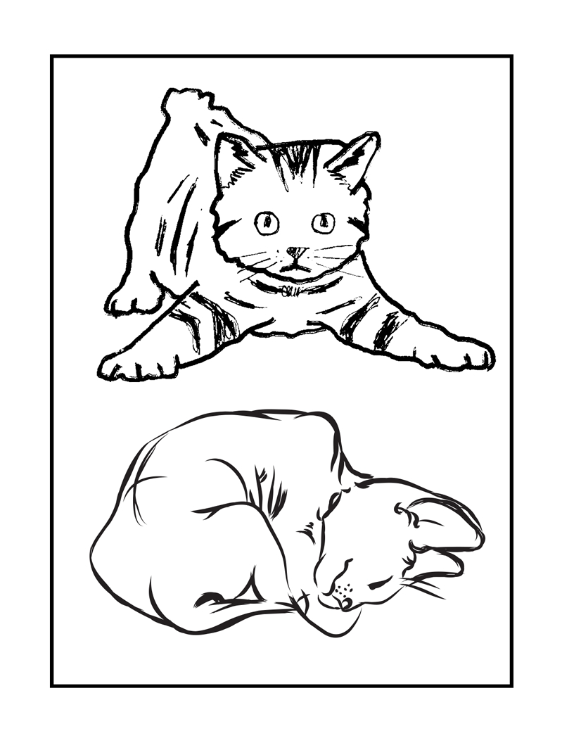 Cat Coloring Book