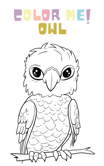 COLOR ME! Animals Theme Book w\link