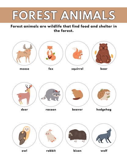 Different Kind of Animals